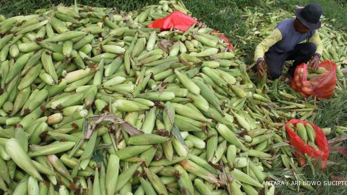 Tunggu evaluasi, Kemtan tahan izin impor jagung