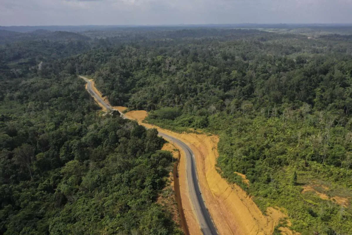 Ibu kota pindah ke Kalimantan, beragam pendapat pelaku properti hingga pengamat 