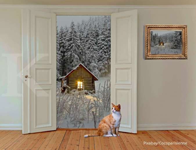 Penyebab Kucing Peliharaan Selalu Kabur dari Rumah dan Cara Mengatasinya