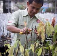 Program Hilirisasi Perkebunan Dinilai Gerakkan Ekonomi Desa dan Serap Tenaga Kerja