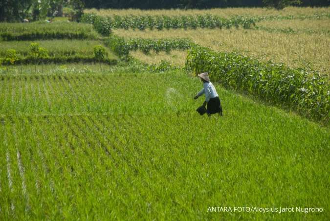 Dorong Regenerasi Petani, Kementan Jalin  Kerja Sama dengan Pemkab Banjar