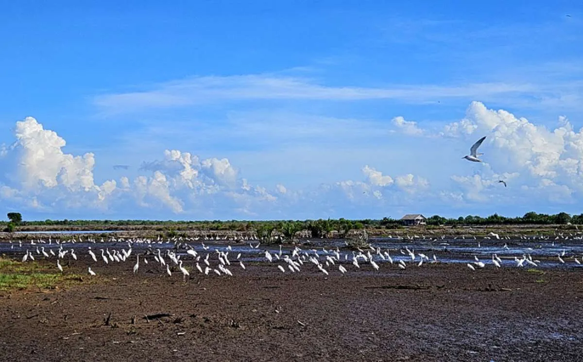 Prakiraan Cuaca Aceh Hari Ini Rabu (28/1): Sebagian Besar Wilayah akan Berawan
