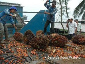 AALI berencana akuisisi 2.000 hektare lahan di Papua