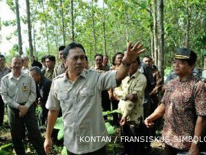 Setiap tahun, hutan rusak di Indonesia mencapai 1,08 juta hektare