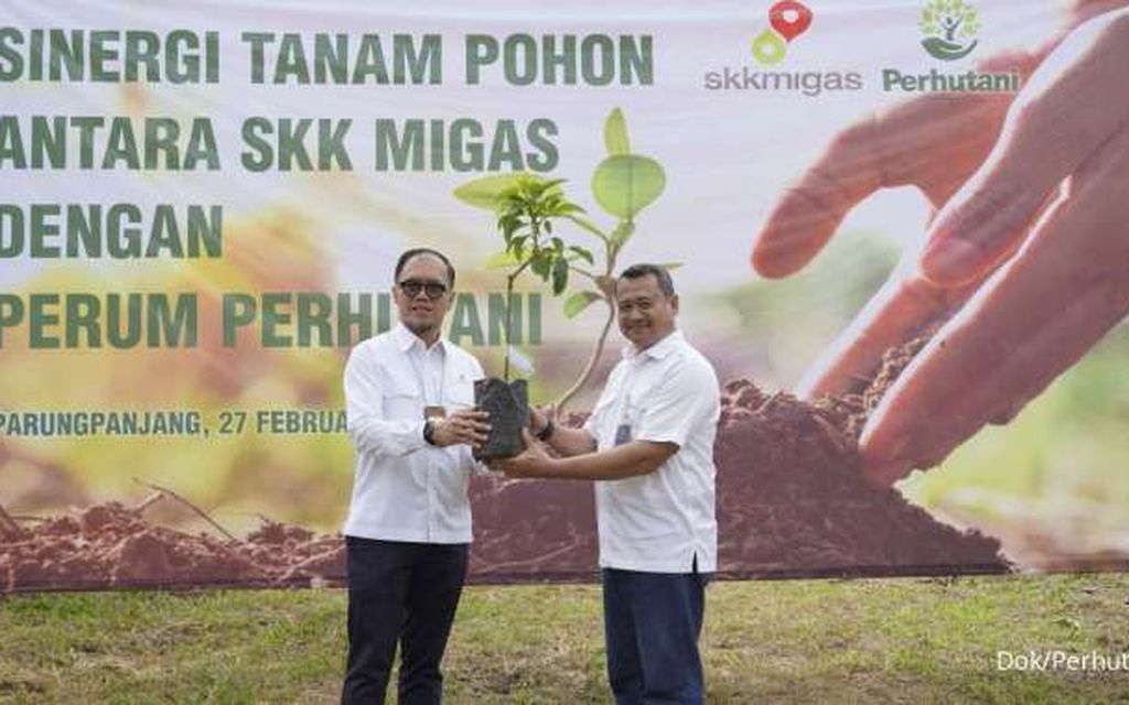  Tingkatkan Serapan Karbon, Perhutani dan SKK Migas Tanam Ribuan Bibit Pohon di Bogor 
