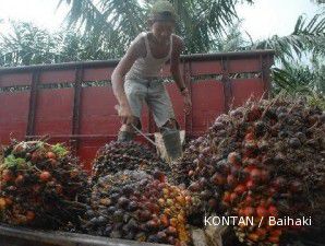 Produksi seret, harga CPO melesat ke level tertinggi tiga tahun terakhir