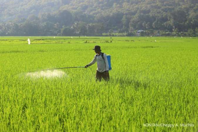 Selamat Hari Tani Nasional 2025, Ini 30 Ucapan untuk Mengingat Dedikasi Petani
