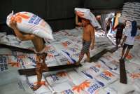 Bos Bulog Targetkan Penyerapan Beras dalam Negeri Capai 1 Juta Ton