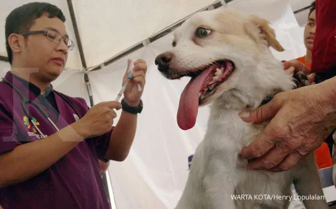 Apa Itu Penyakit Rabies? Ini Penyebab, Gejala, dan Langkah Penanganan Penyakit Rabies