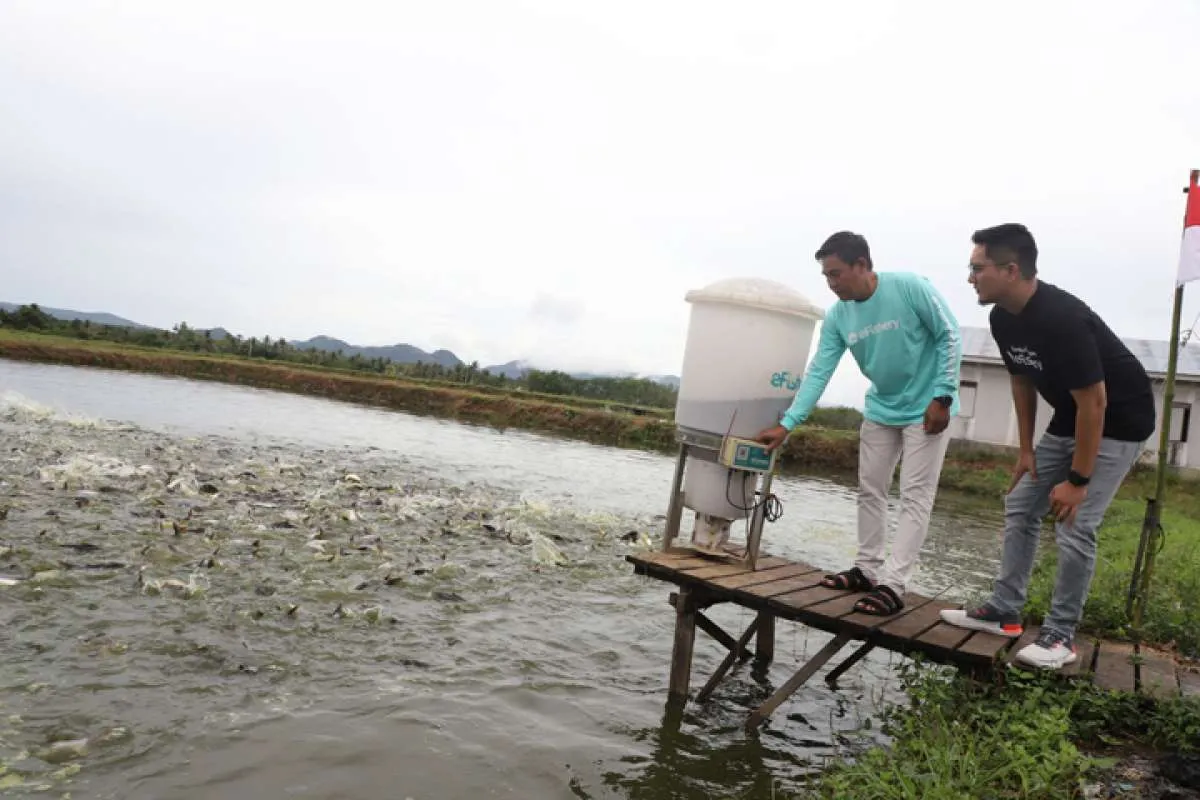 Mimpi eFishery Memboyong Udang ke Paman Sam 