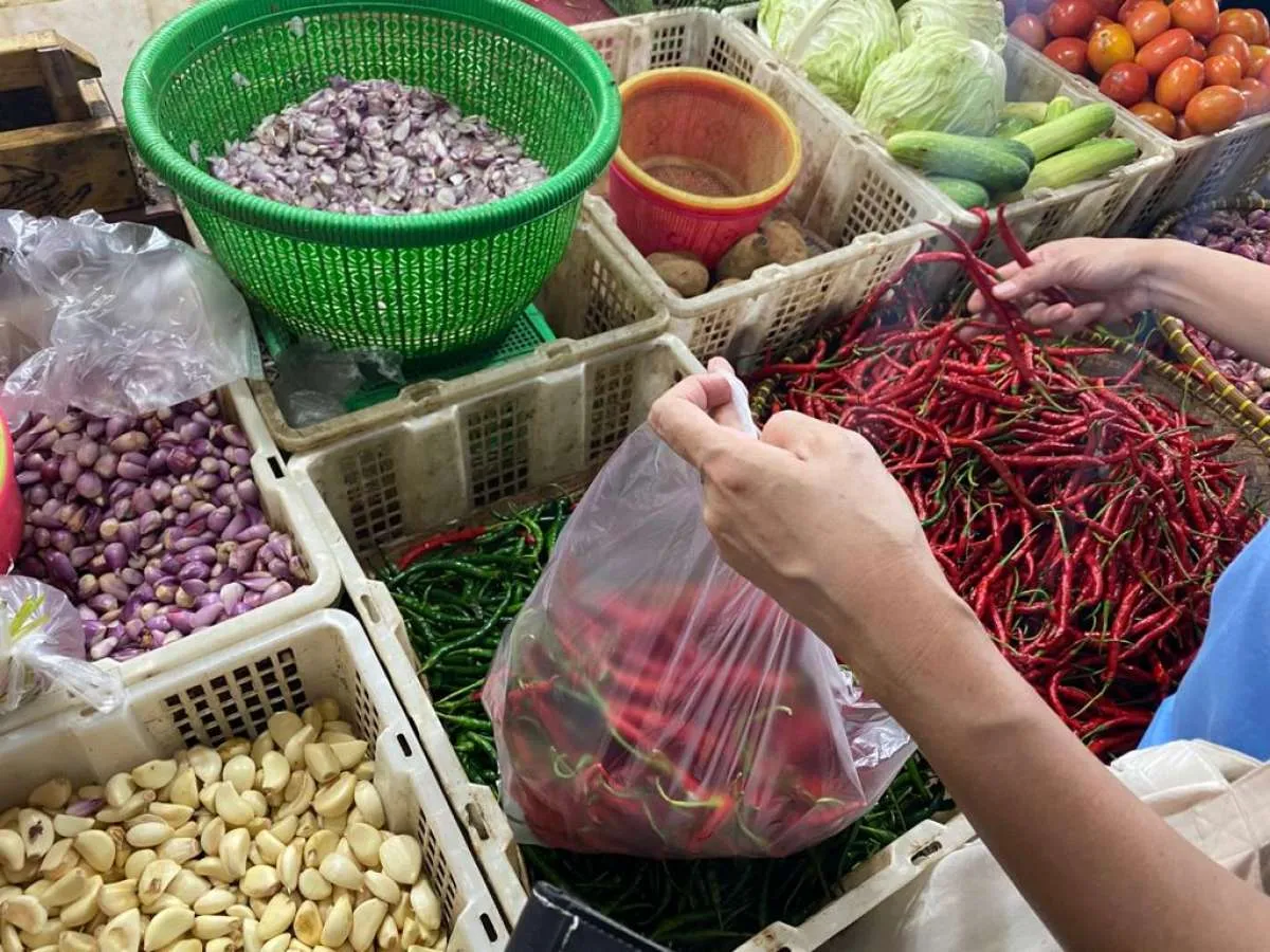 LPEM FEB UI prediksi inflasi Mei 2021 bisa mencapai 0,3% mom