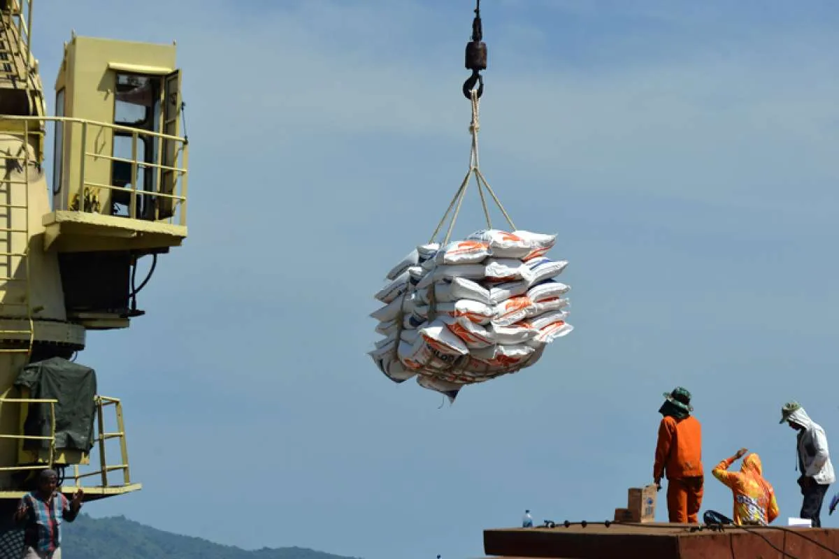 Pemerintah Akan Menambah Impor Beras 1,5 Juta Ton untuk CBP, Kapan Pelaksanaannya?
