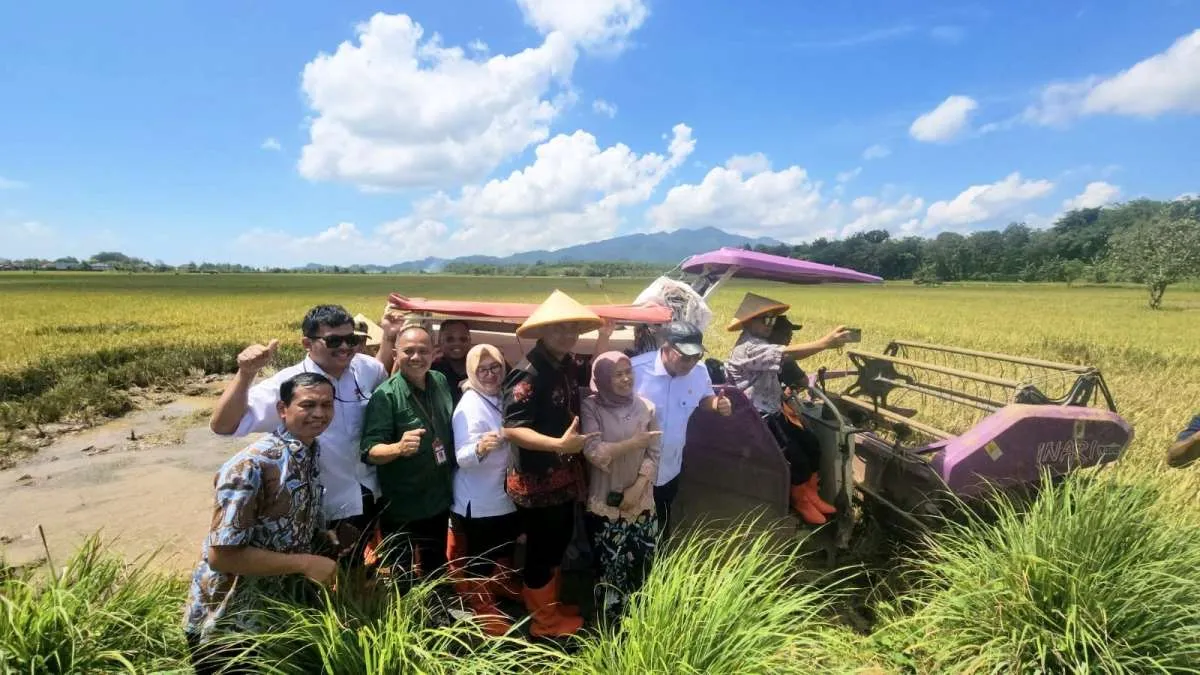 PGN dan BRIN Dongkrak Produktivitas Pesisir Jawa Lewat Panen Padi Biosalin 176 Ton