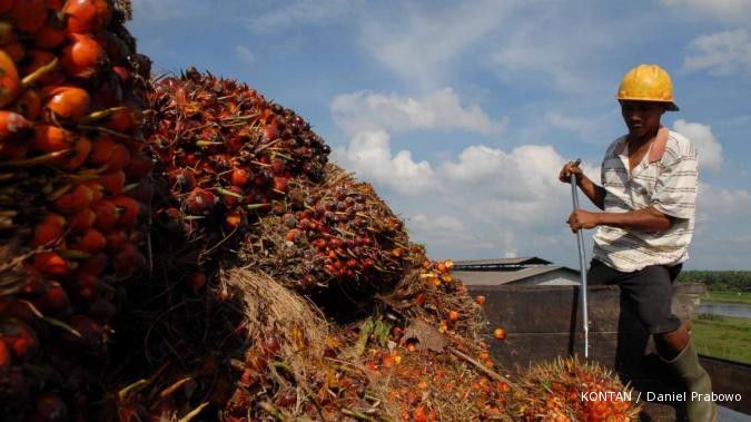 Pemerintah klaim CPO Indonesia ramah lingkungan