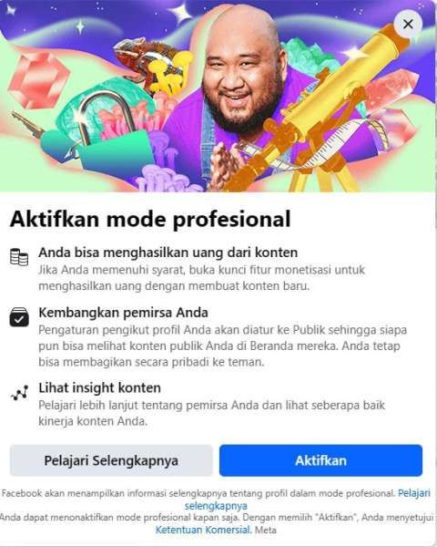 Tampilan saat mengaktifkan FB Pro