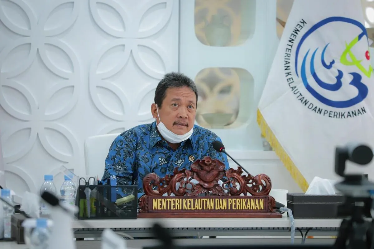 Menteri KKP hentikan ekspor benur lobster sementara waktu