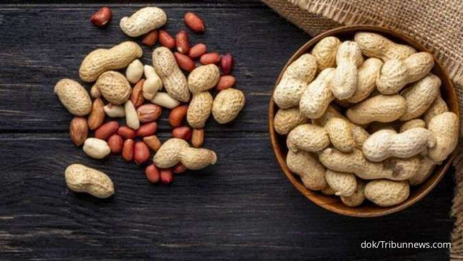 Nutrisi & Khasiat Kacang Tanah, Bisa Bikin Panjang Umur, Turunkan Kolesterol