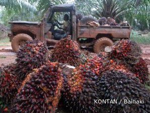 AALI incar pertumbuhan produksi 5% di 2011