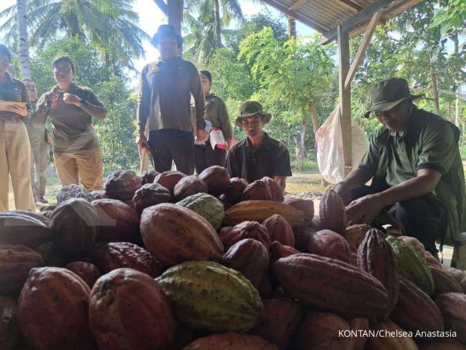 Perkuat Kakao Fermentasi Berkelanjutan, Koperasi KSS Jembrana Bidik Produksi 60 Ton