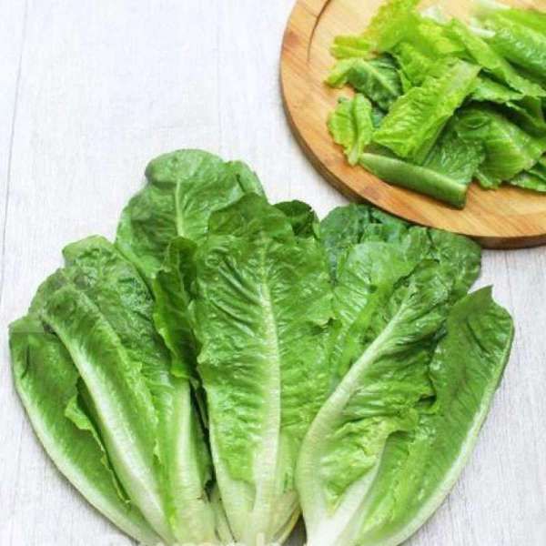 Selada Romaine, Segudang Manfaat dan Kandungan Nutrisinya Bagi Tubuh