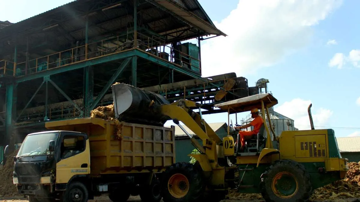 Begini rencana ekspansi Pinago Utama (PNGO) di tahun 2022 mendatang