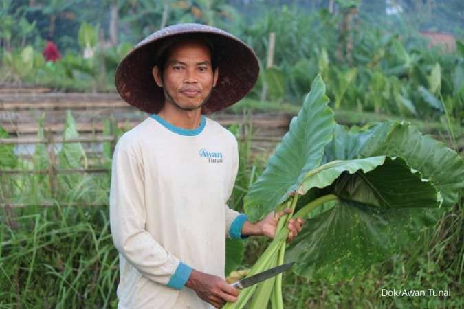 Gandeng SayurBox, Awan Tunai salurkan pinjaman ke 5.000 UMKM pertanian