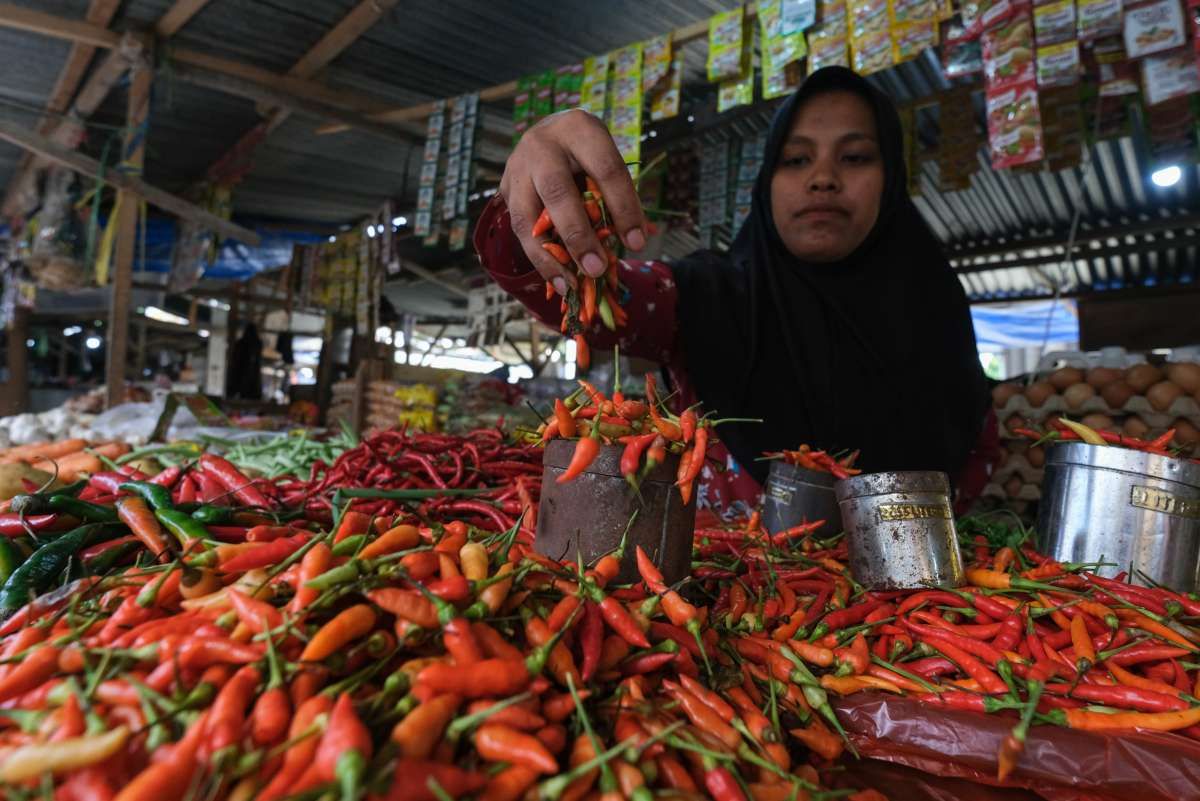 Pemerintah Memacu KUR di Sektor Pangan dan Perumahan