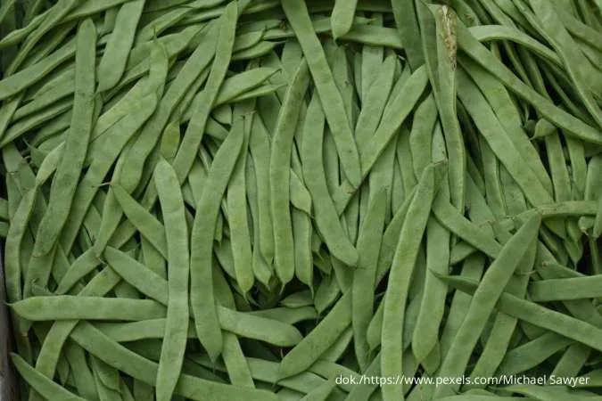 7 Manfaat Buncis: Rahasia Pencernaan Sehat & Jantung Kuat Ada di Sini
