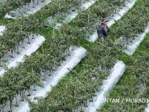 2011, IFC targetkan pembiayaan UKM di Asia Pasifik sentuh US$ 12,3 miliar