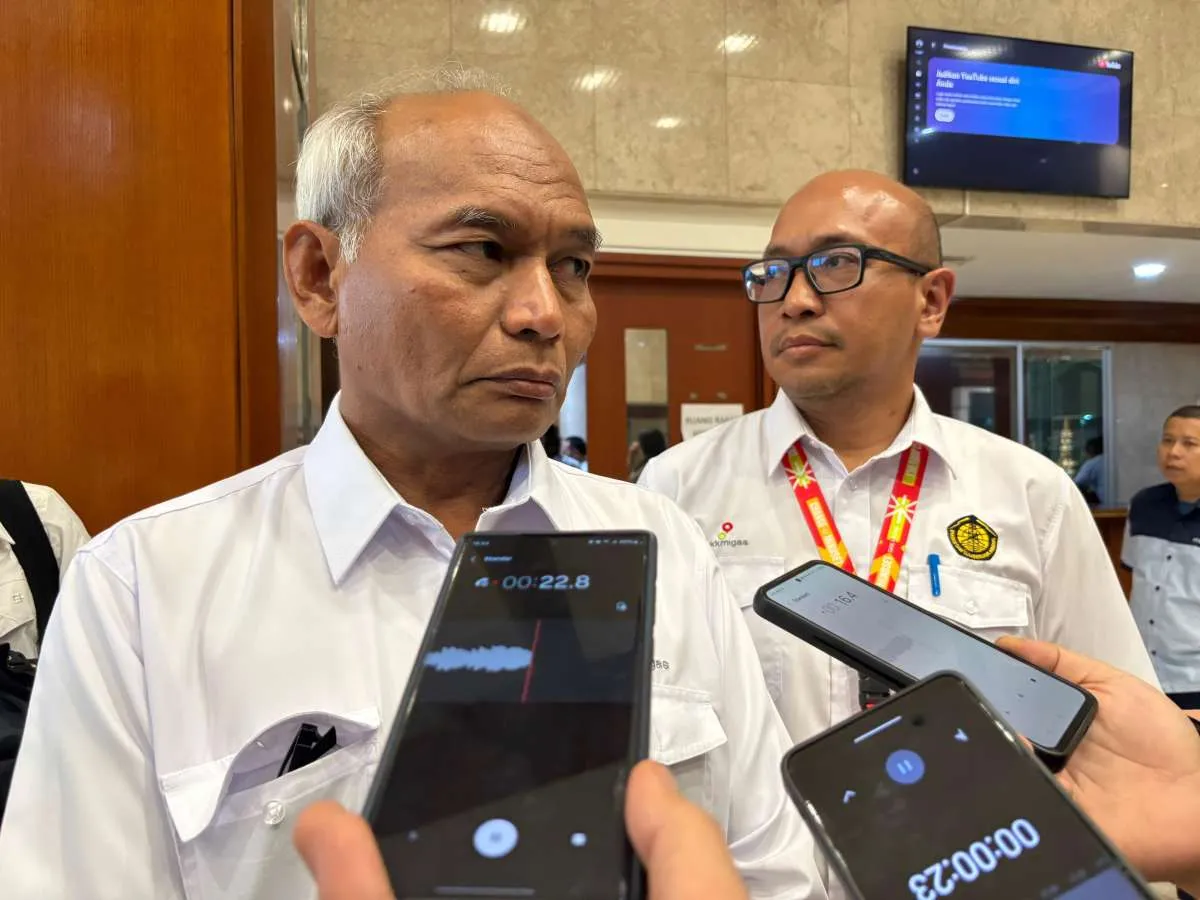SKK Migas Layangkan Surat Peringatan ke Inpex, Minta Percepat Proyek Blok Masela