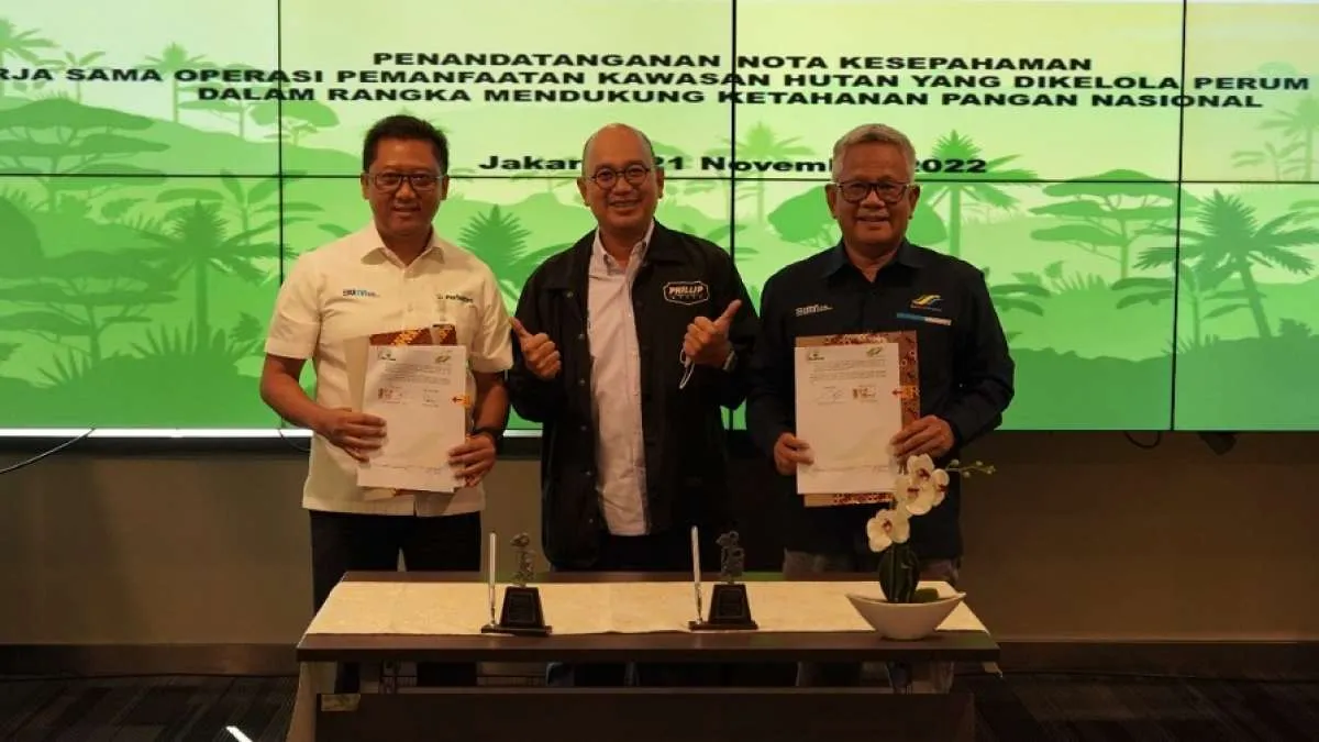 Perhutani Gandeng PTPN III Optimalkan Pemanfaatan Kawasan Hutan Guna Ketahanan Pangan