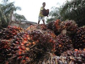 CPO anjlok ke level terendah tujuh bulan