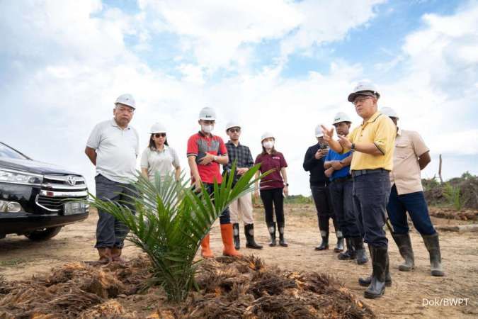 Dorong Produksi CPO, BWPT Lakukan Penanaman Baru Sawit Hingga 4.000 Ha di Kaltim