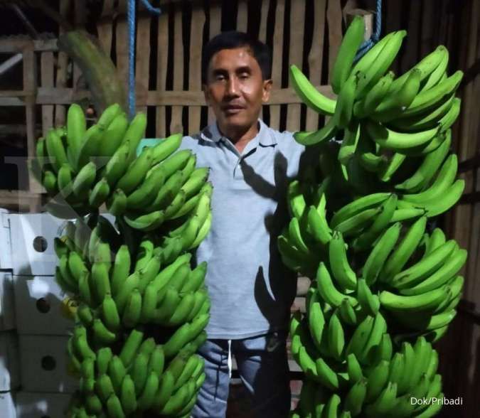 Waktu Muda Buruh Tambang, ketika Tua Raja Pisang