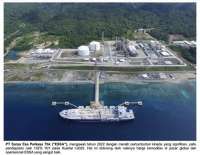 Semester II 2023, Surya Esa Perkasa (ESSA) Optimistis Harga Amoniak Membaik