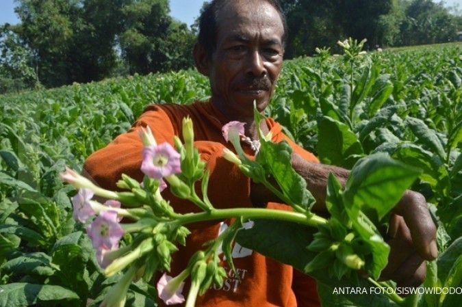 Sampoerna kembangkan sistem produksi terpadu