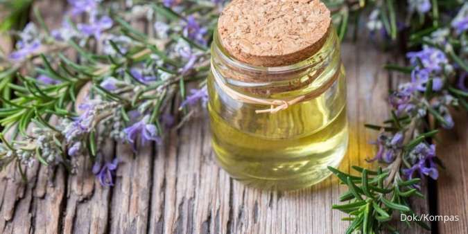 Cara Menurunkan Kolesterol dengan Tanaman Herbal, Ini Dia Daftar Lengkapnya!