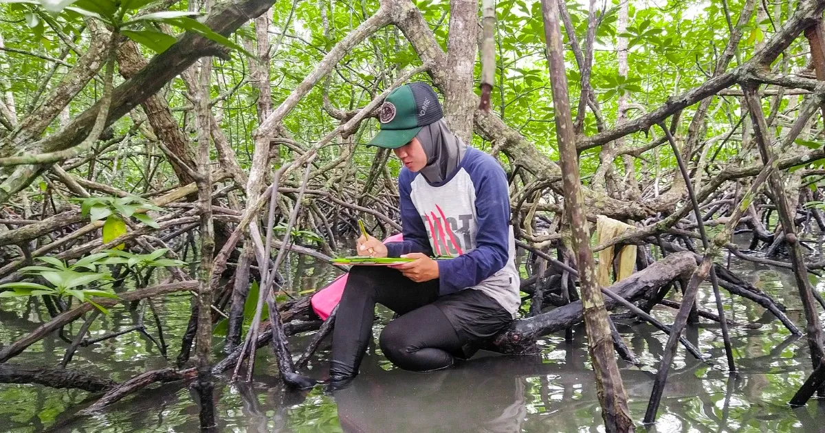 CarbonEthics Raih USD 2,1 Juta guna Akselerasi Proyek Karbon Biru Berkualitas Tinggi