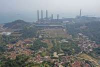 PLN Geber Program Biomassa untuk Co-Foring di PLTU