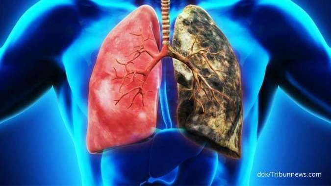 cara membersihkan paru-paru