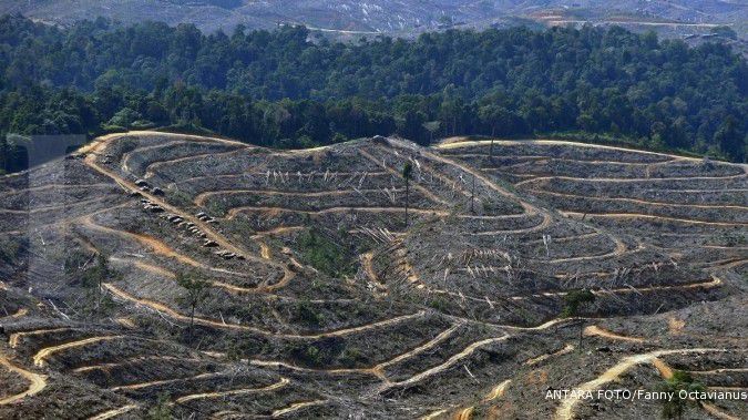 Perusahaan AS ajak Indonesia cegah deforestasi