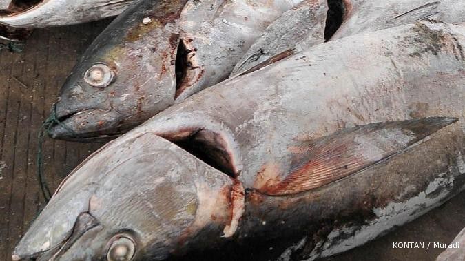 Produksi ikan tuna tenggelam di kuartal I
