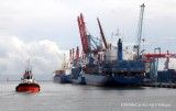 Peneliti Celios: Waspada Krisis Logistik yang Berdampak Ke Ekonomi Nasional