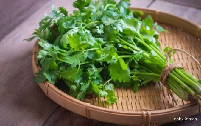 10 Manfaat Daun Ketumbar bagi Kesehatan Tubuh