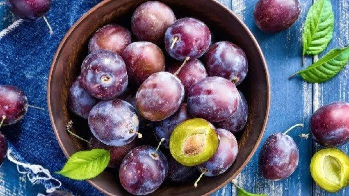 10 Manfaat Buah Plum Untuk Kesehatan yang Jarang Diketahui