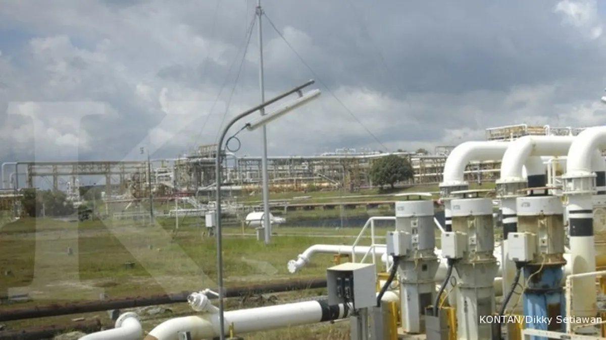 Rini yakin Pertamina mampu danai Blok Mahakam 