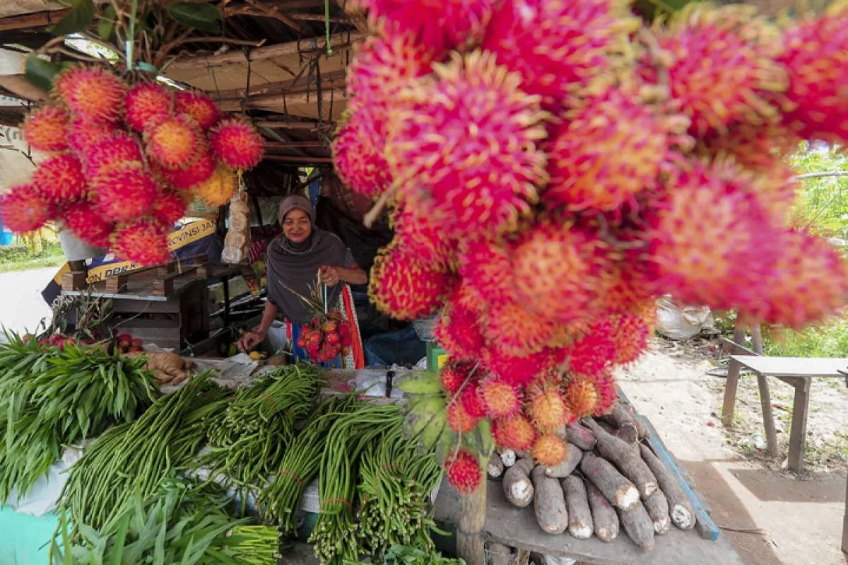 Musim Rambutan, Manfaat Rambutan Untuk Kesehatan Bisa Menurunkan Berat Badan 