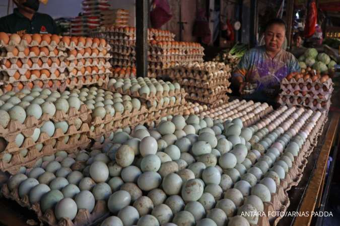 Harga Pangan Terkini di Maluku 19 Oktober 2024: Harga Telur Ayam & Minyak Goreng Naik