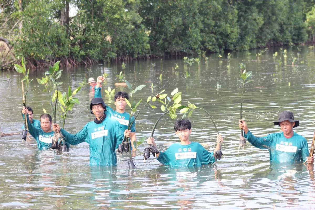 eFishery & BRPBAP3 Maros, Tanam 1.500 Mangrove di Instalasi Tambak Silvofishery Maros