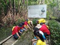 Maxim dan Kementerian Lingkungan Hidup Menggelar Aksi Penanaman Ratusan Bibit Bakau